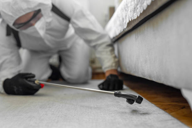 Professional Termite Control technician working in Valley Cottage, NY